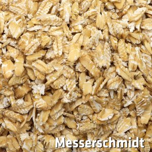 Bild 1 zu Artikel Vario-Flocker für Bosch UM3 + MUM6  