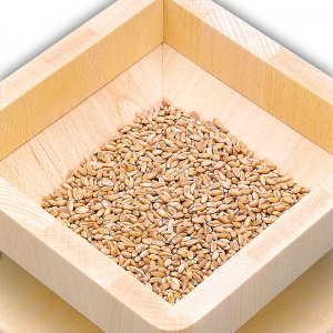 Bild 2 zu Artikel Getreidemühle hawos Mühle 1 